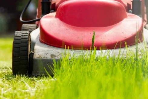 Roter Rasenmäher im grünen Gras